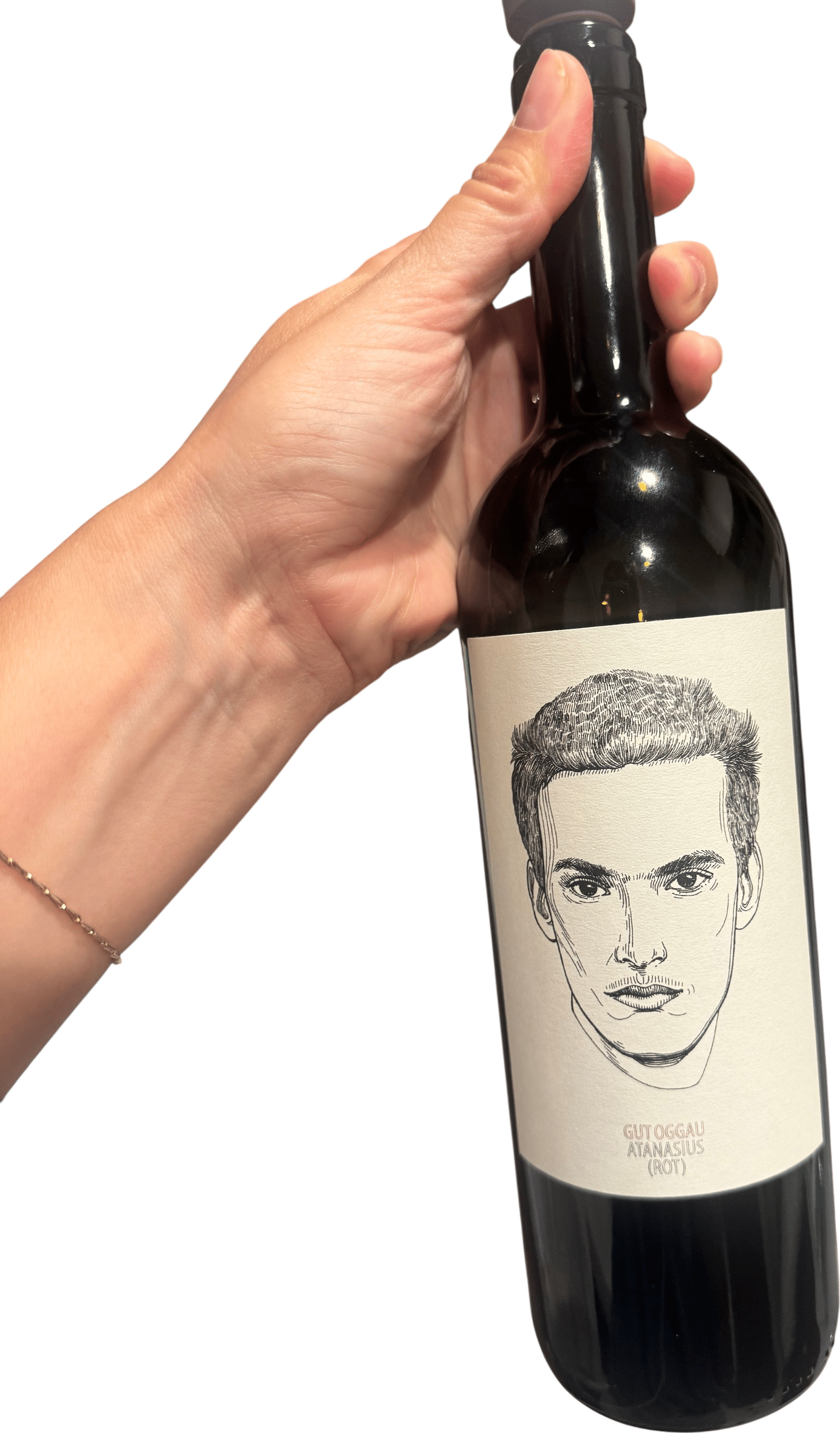 Gut Oggau wine family