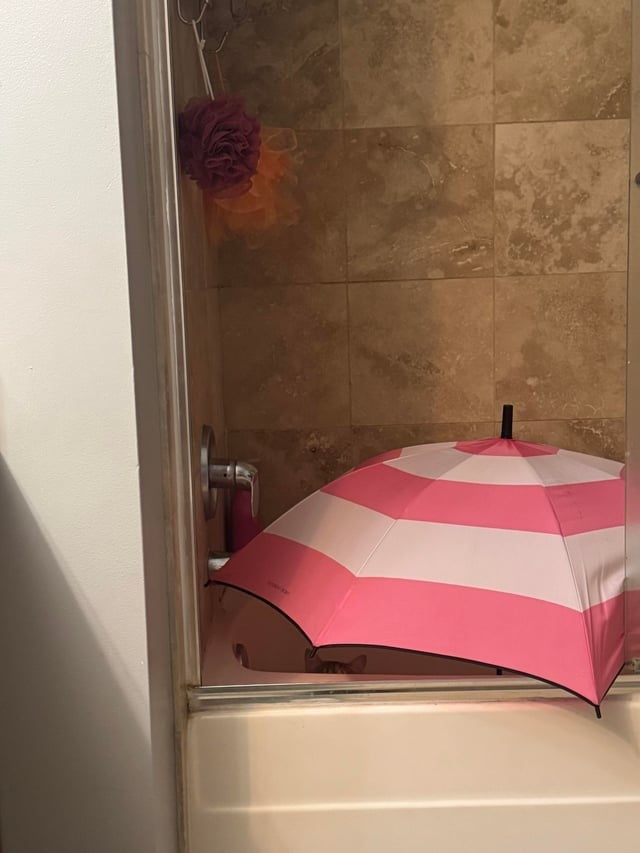 Open umbrella in the bathtub/shower