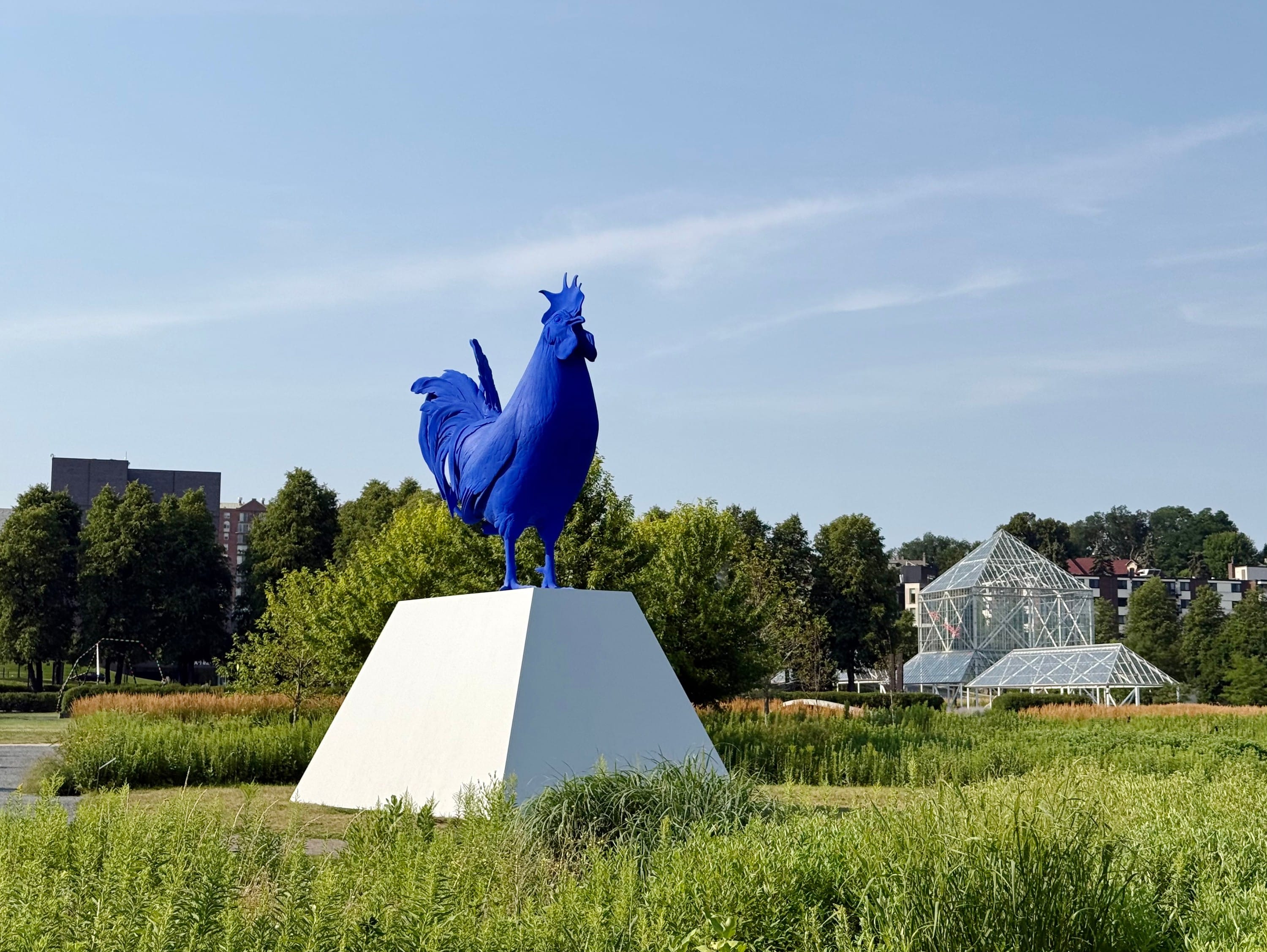 The majestic 20-foot-tall blue rooster at the Minneapolis Sculpture Garden