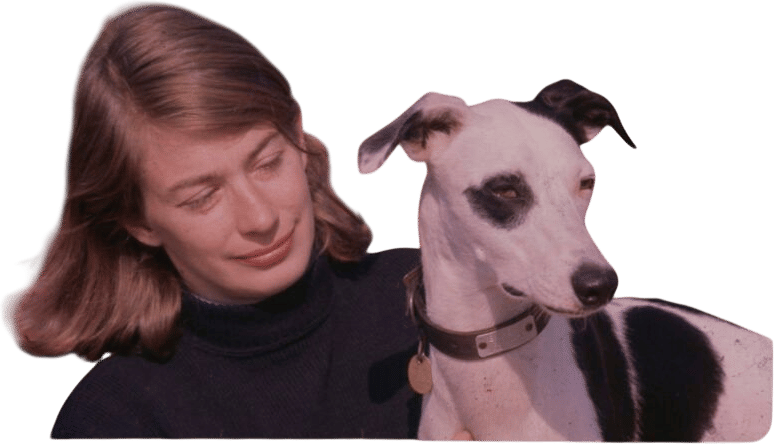 Mary Oliver documentary