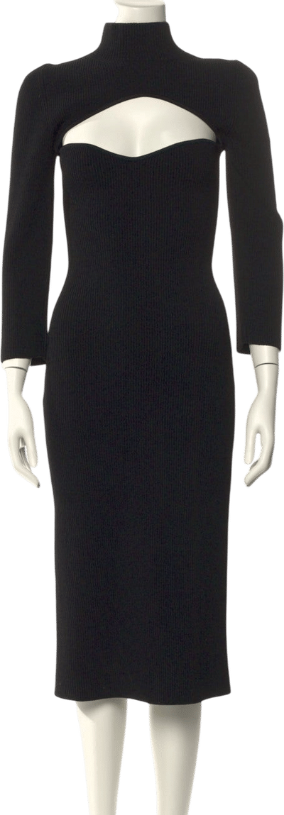 Turtleneck Long Dress