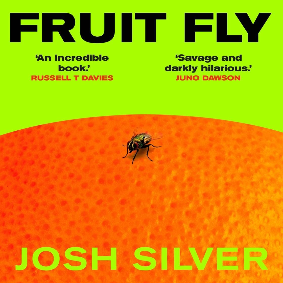 Fruit Fly by Josh Silver (audiobook version)