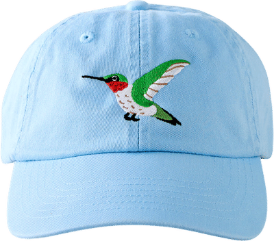 Hummingbird Cap