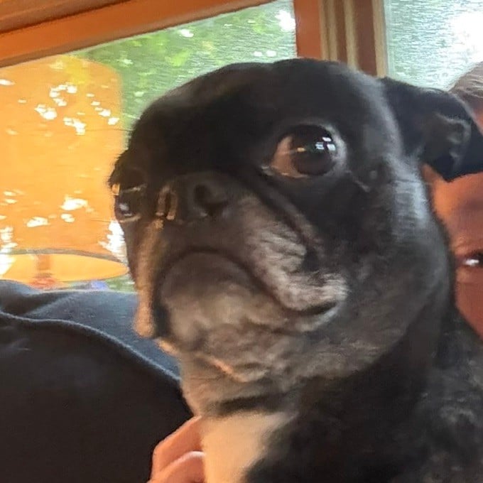 Lena