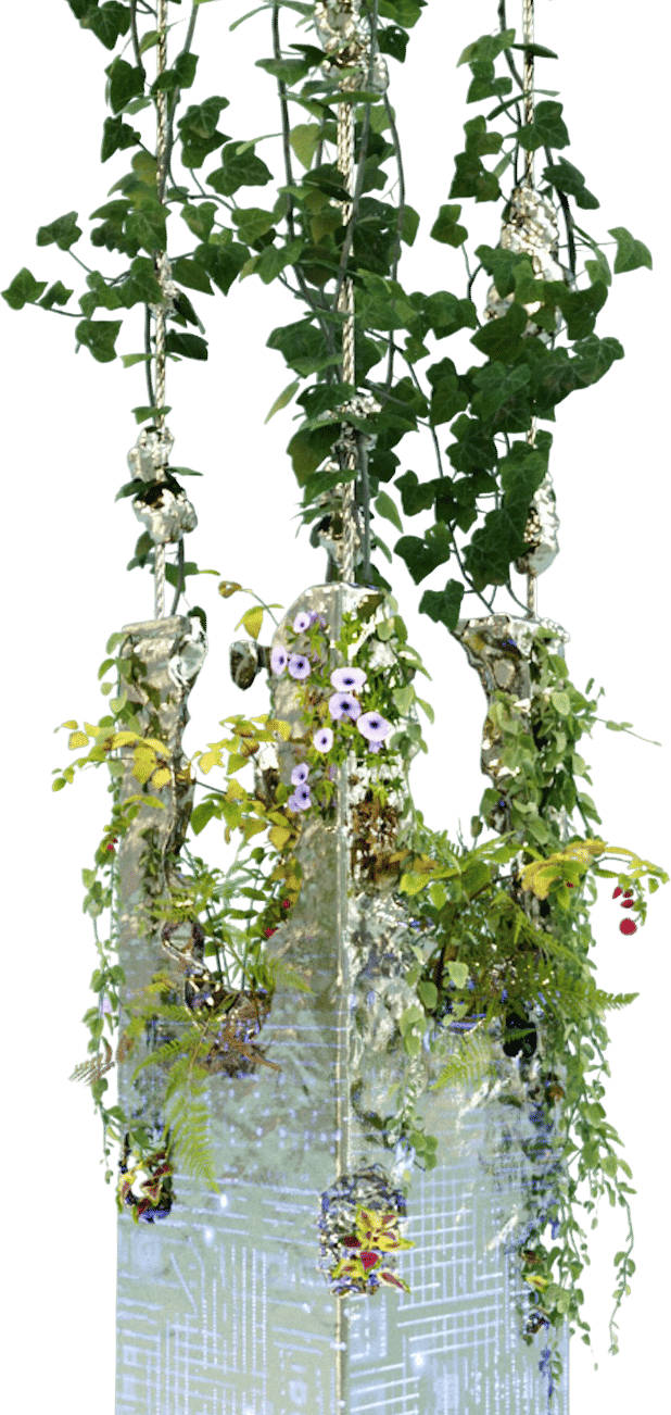 We Need To Rewild The Internet