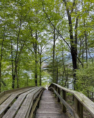 ⎡HUDSON VALLEY⎦