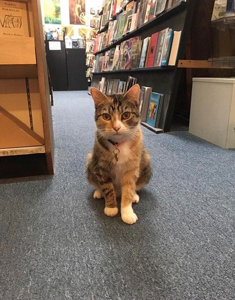 Small World Books