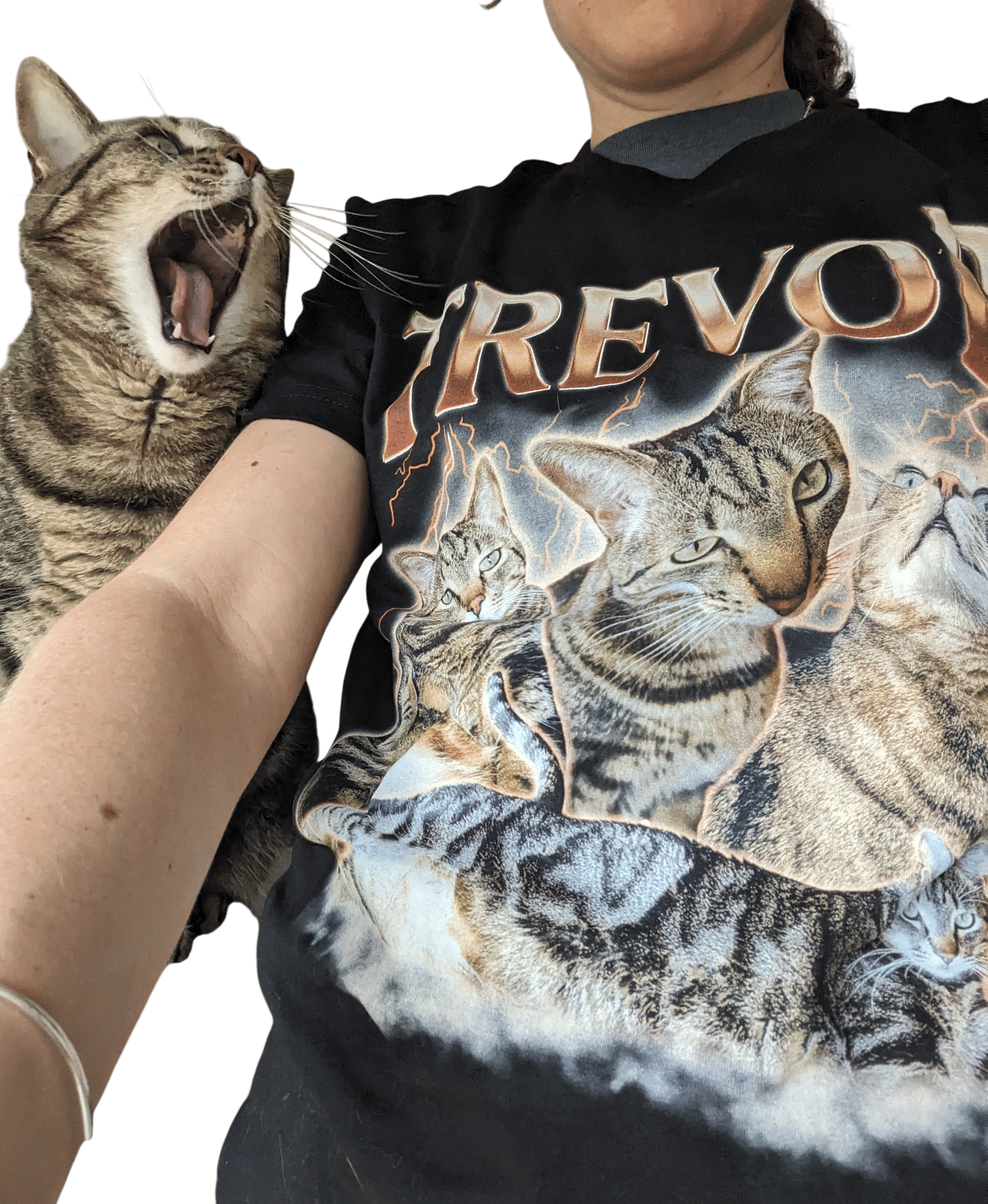 Ordering a shirt with your cat on it
