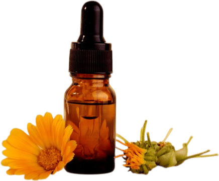 Calendula Oil