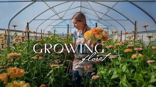 Growing Floret