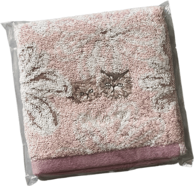 Chacott x Marianela Nuñez Mini Ballet Towel