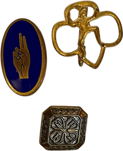 Vintage Girl Scout, Brownie, and 4H Pins
