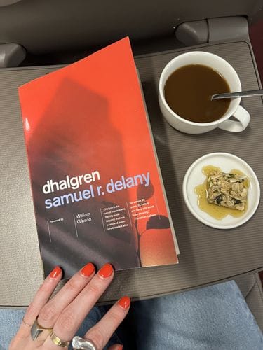 Dhalgren (Samuel R. Delany)