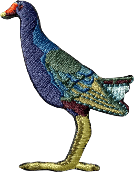 bird collective