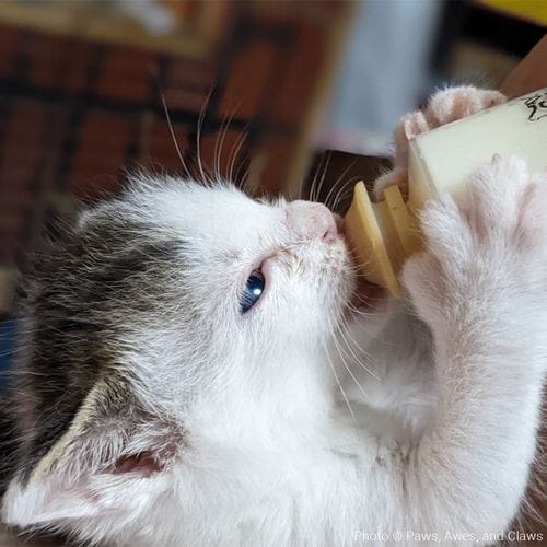 na beverages
