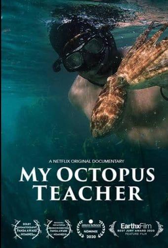 my octopus teacher