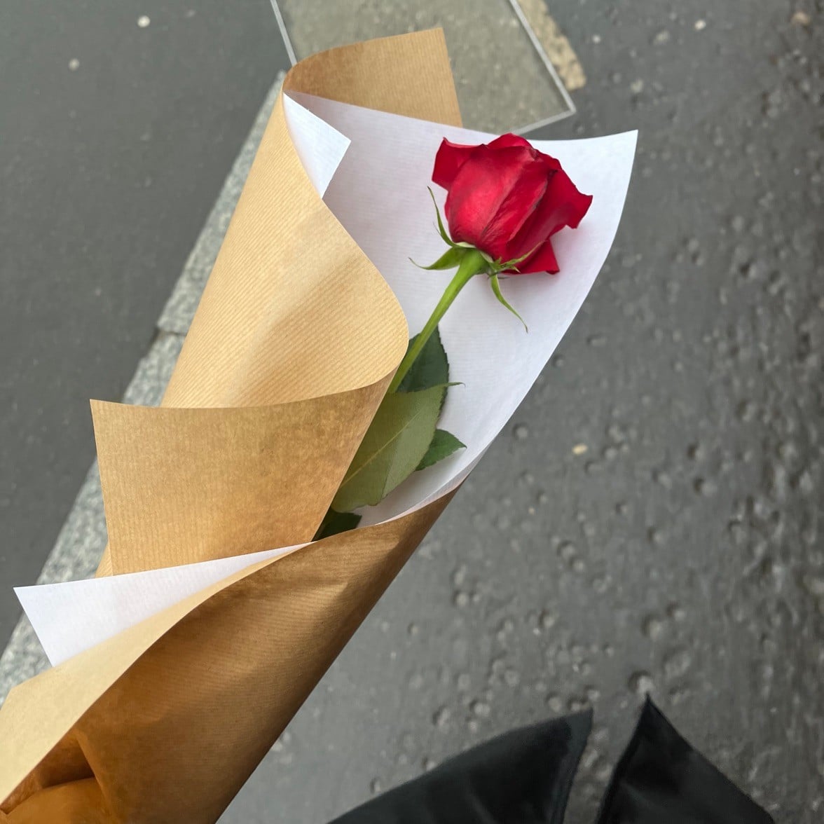 roses are red