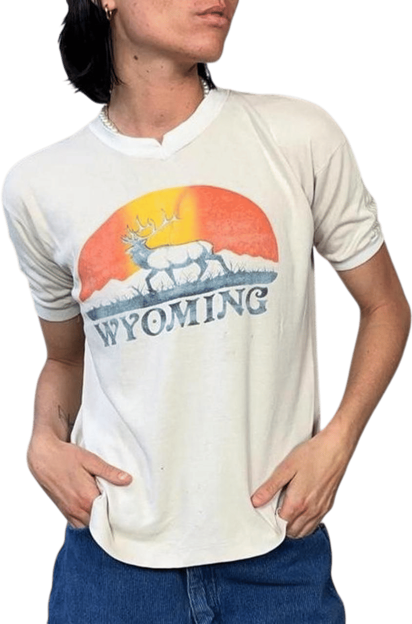 Vintage 70s Wyoming Tee
