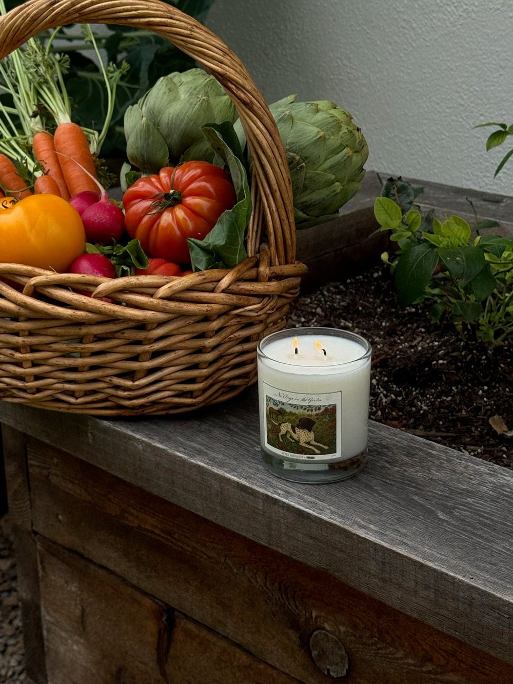 No Dogs in the Garden Candle