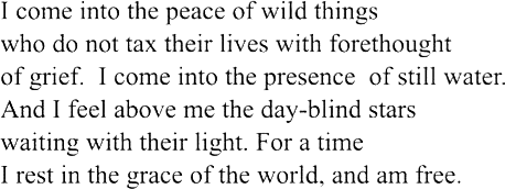 The Peace of Wild Things, Wendell Berry