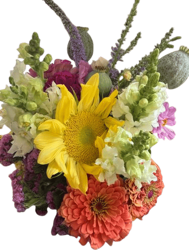 fresh cut bouquets