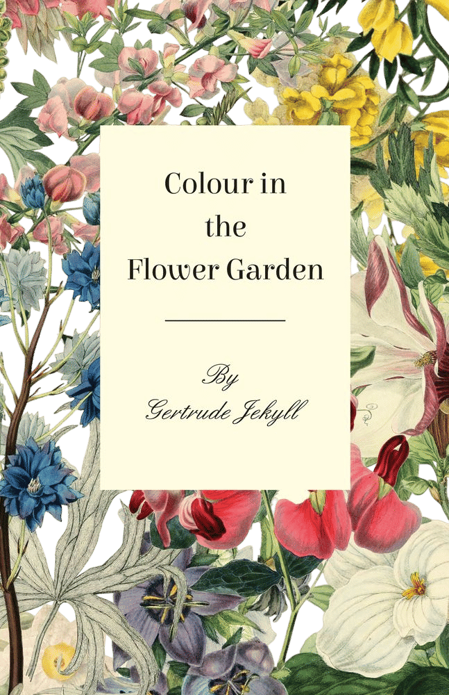 Colour in the Flower Garden