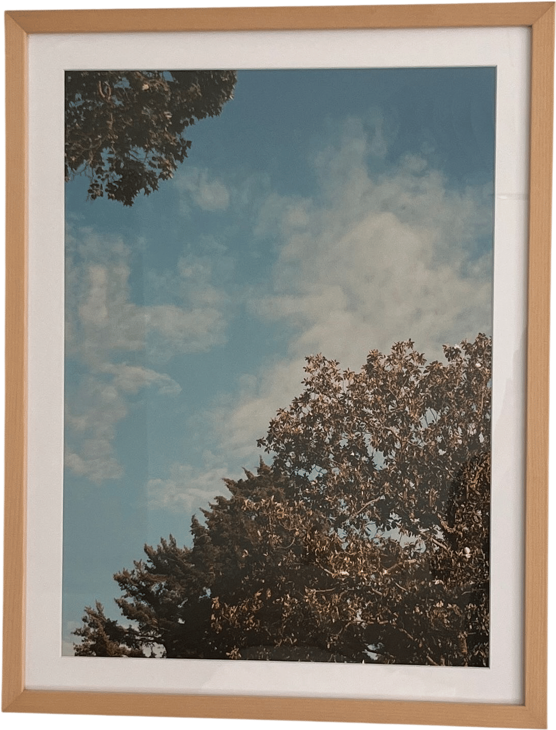 Taking a picture of the sky on your wedding day
