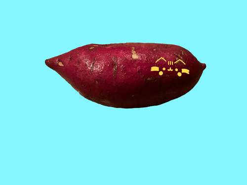 Pusheenacapppuccia logo