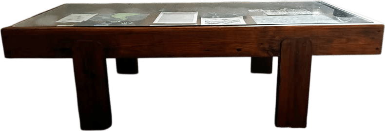 Glass Top Display Coffee Table