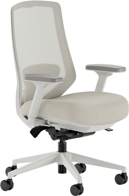 Ergonomic Chair by Branch