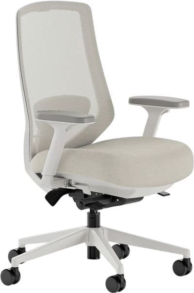 Ergonomic Chair