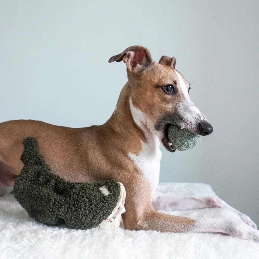 The best dog toys