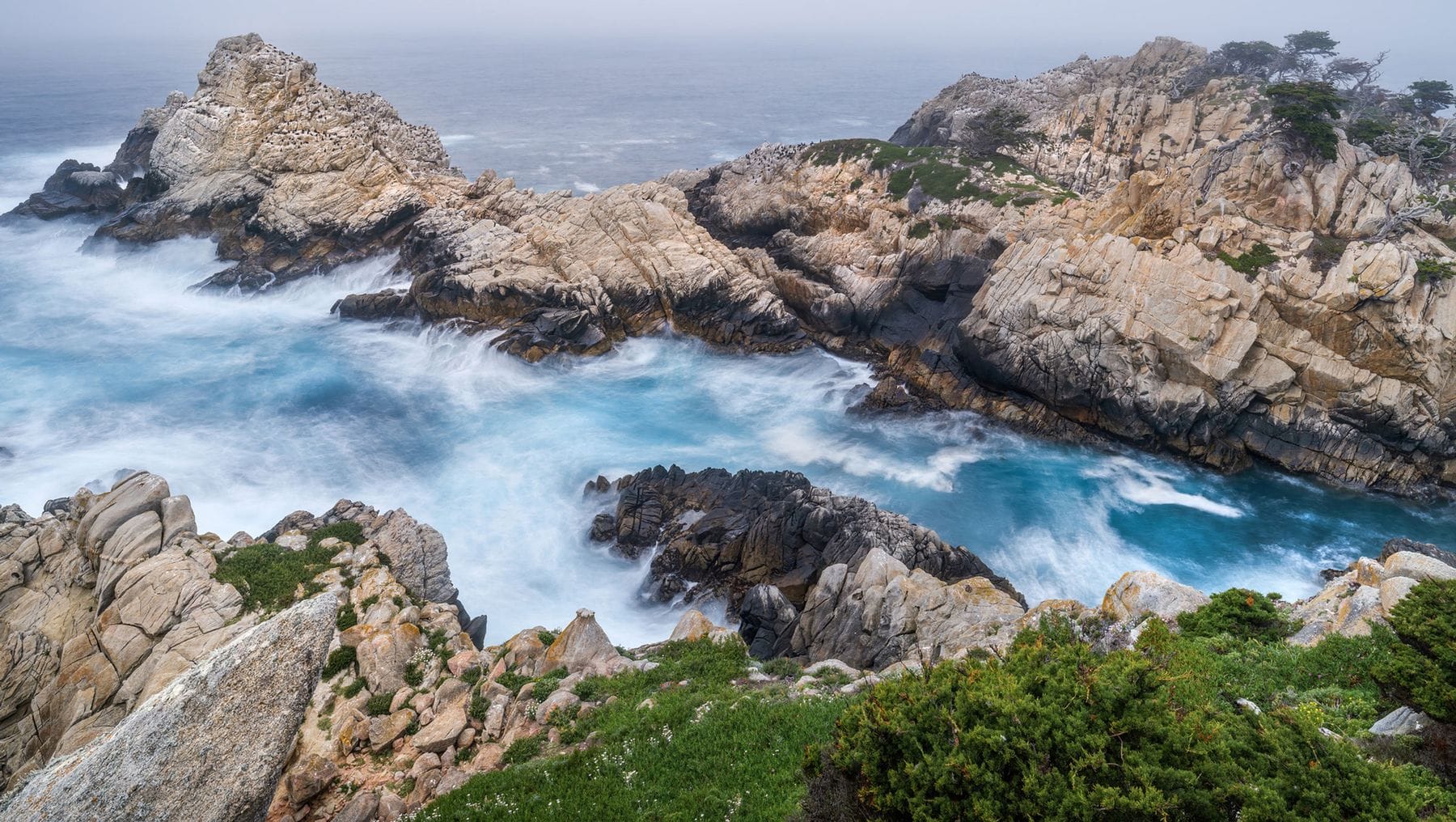 Point Lobos State Natural Reserve