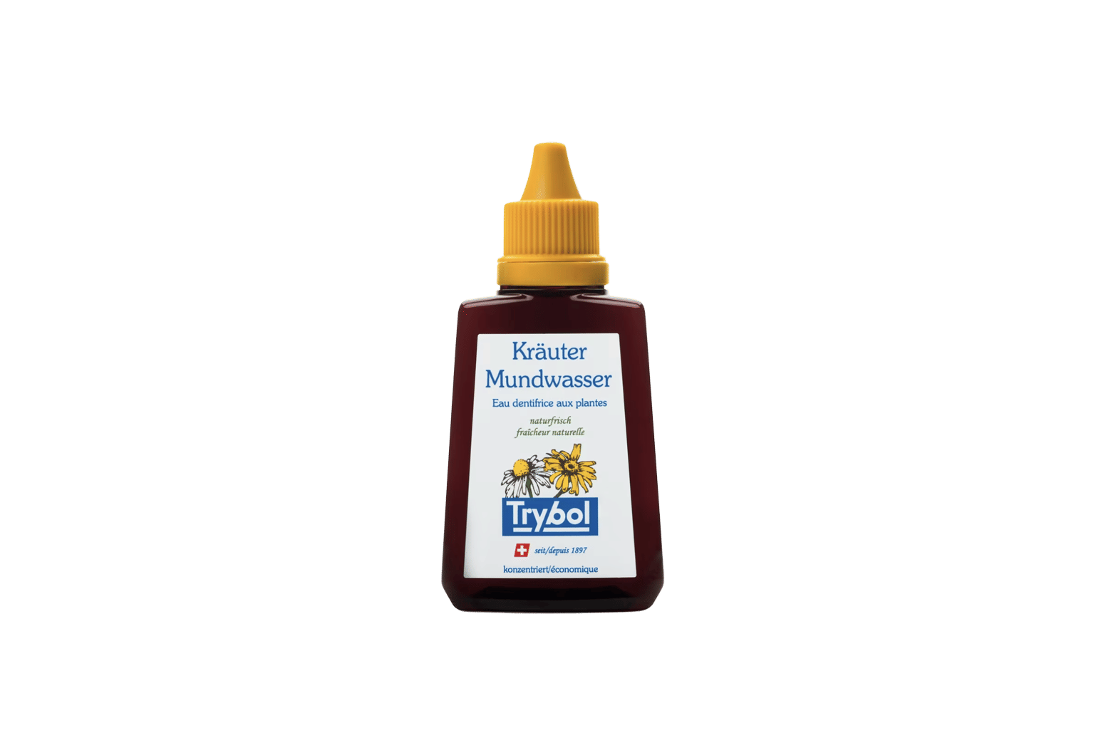 Life Changing Dental Care