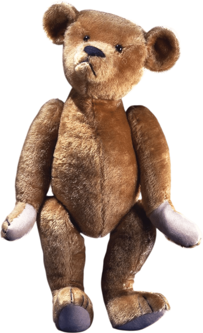 The Original Teddy Bear