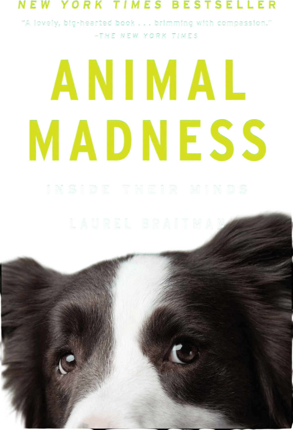 Animal Madness: How Anxious Dogs, Compulsive Parrots, and Elephants in Recovery Help Us Understand Ourselves
