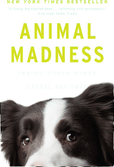 Animal Madness: How Anxious Dogs, Compulsive Parrots, and Elephants in Recovery Help Us Understand Ourselves