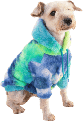 little beast dog sweaters