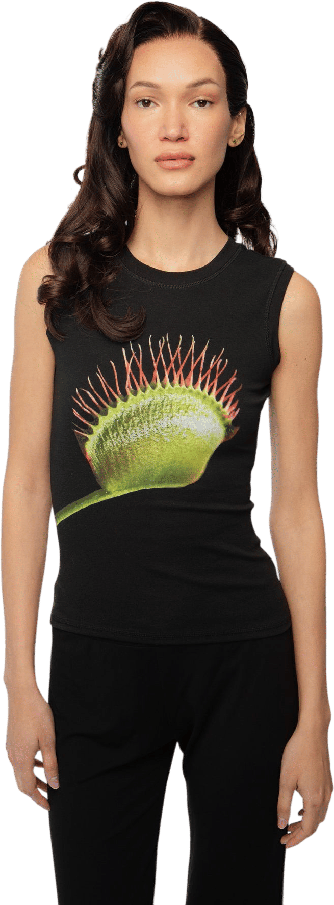 Venus Fly Trap Tank