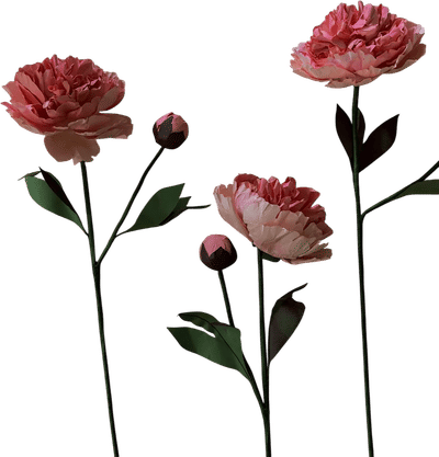 Wax Paper Flower
