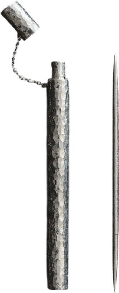 Toothpick and Case
