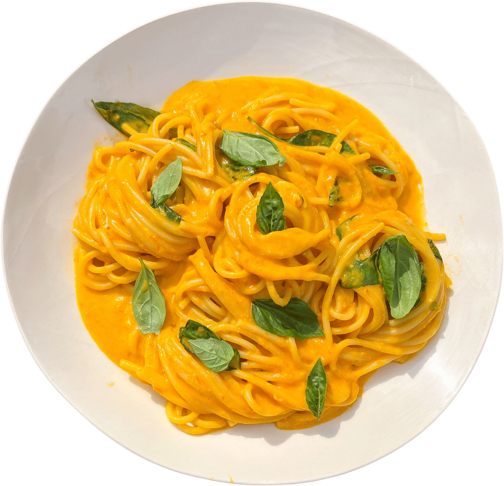 Wishbone kitchen sungold pasta