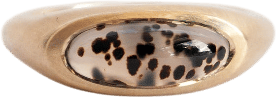 Dendritic Agate Slab Ring