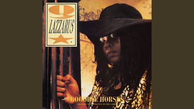 Goodbye Horses