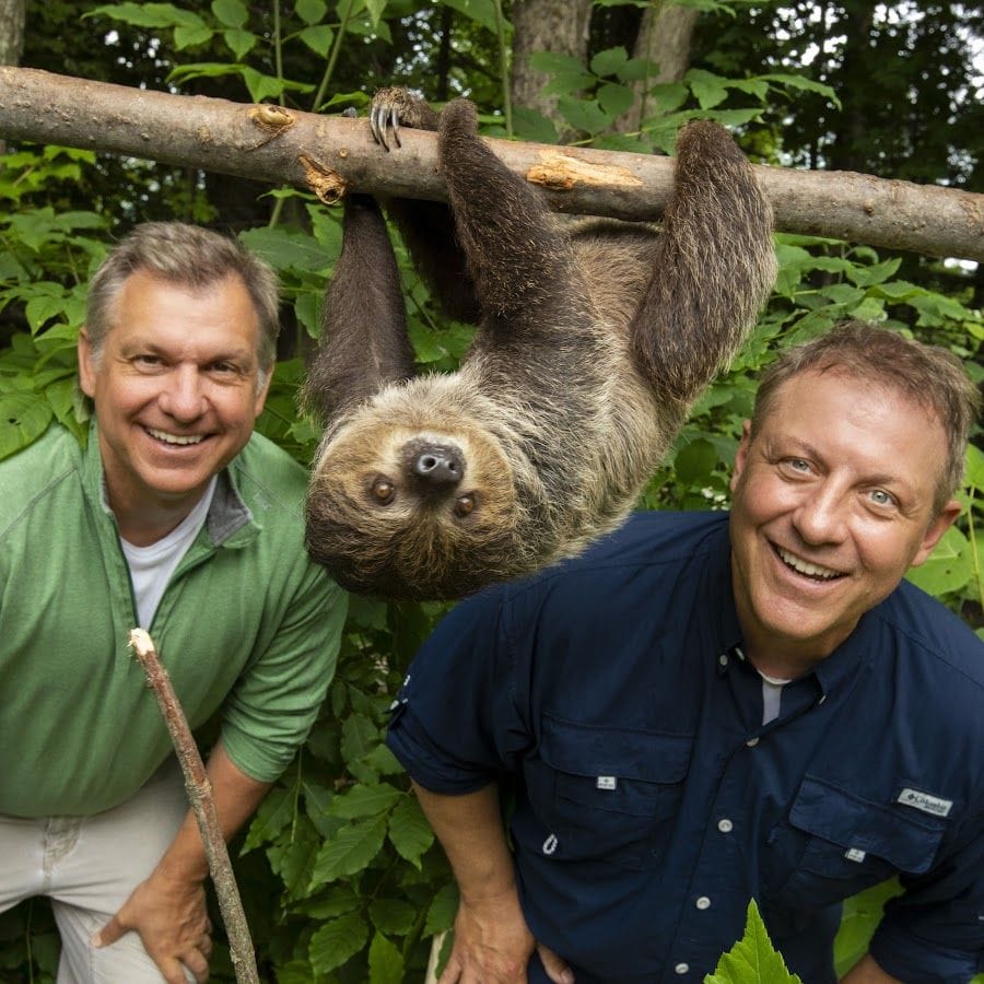 The Kratt Brother Baes