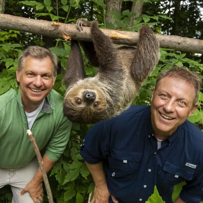 Wild Kratts