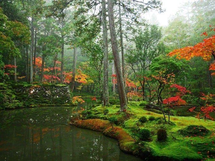 Saihōji (Kokedera) Temple 西芳寺 (苔寺)