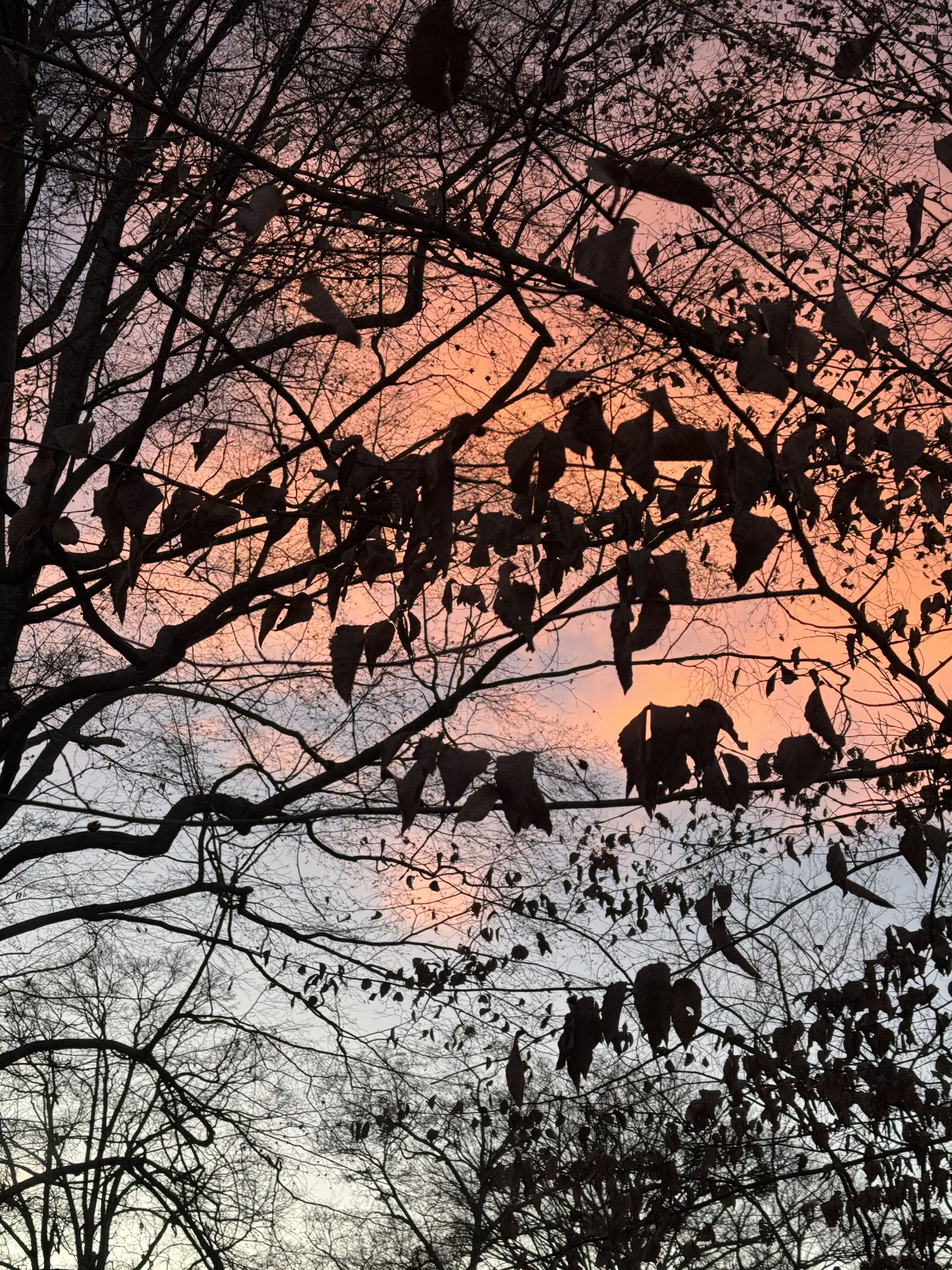 Walk outside as soon as you wake up