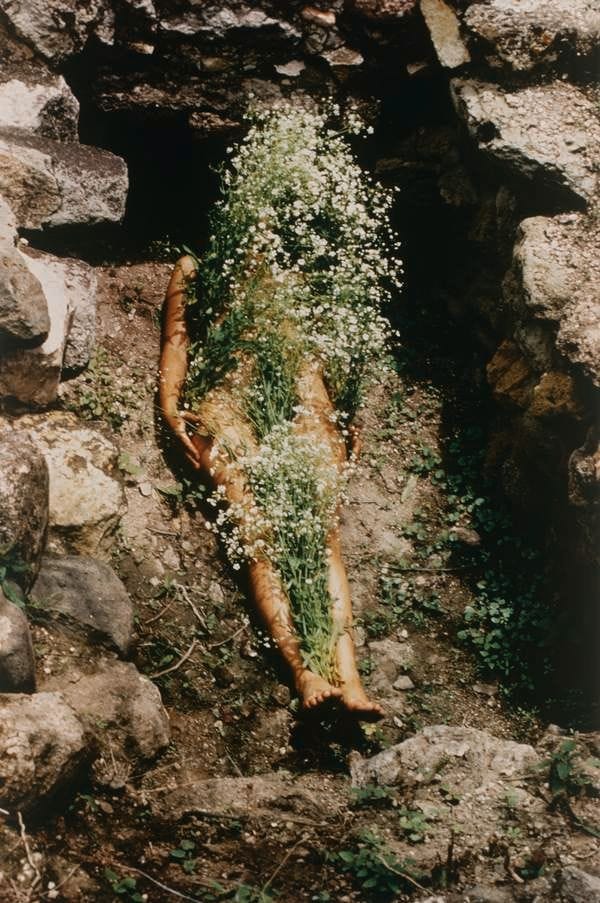 Anna Mendieta at Tate