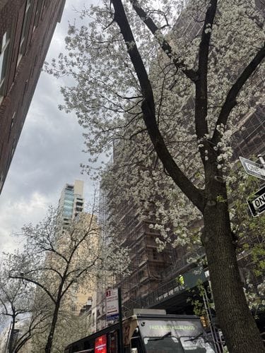 Neighborhood walks in the mornings or early evenings